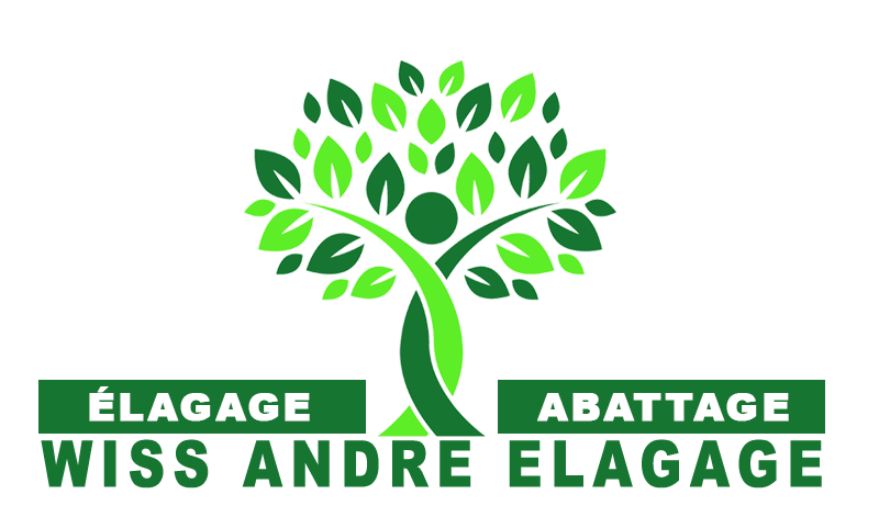 Wiss André Elagage 76
